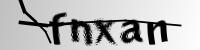 ֤